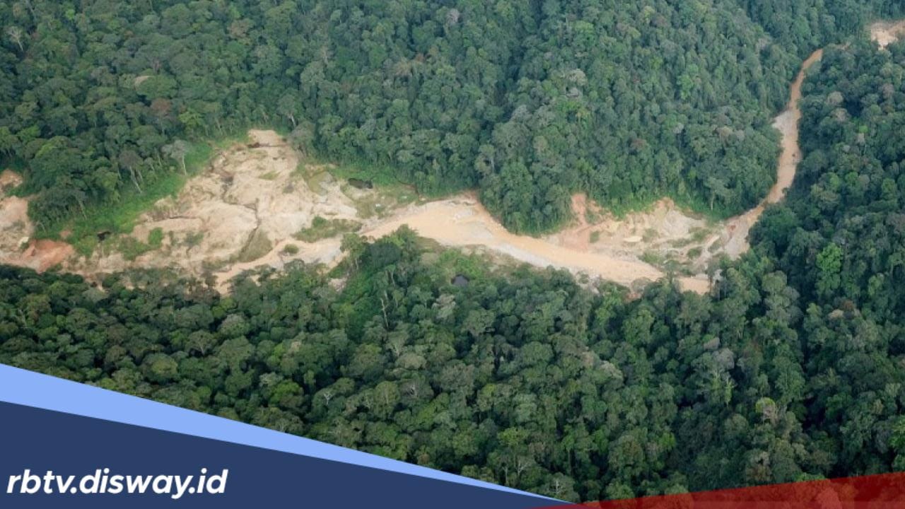 Ternyata, Diam-diam Bengkulu Menyimpan Harta Karun, Segini Cadangan Emas di Bukit Sanggul Bengkulu