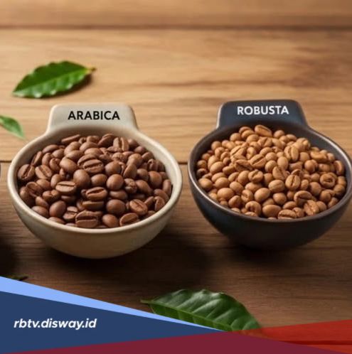 Kopi Arabika atau Robusta, Mana yang Aman Bagi Lambung Sensitif?