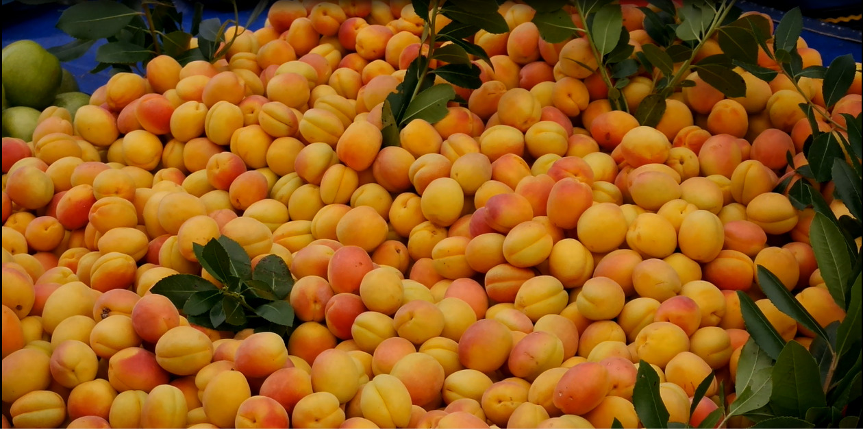 Kopi Sianida Jesicca Kembali Viral, Ternyata Ada Buah yang Mengandung Sianida Alami