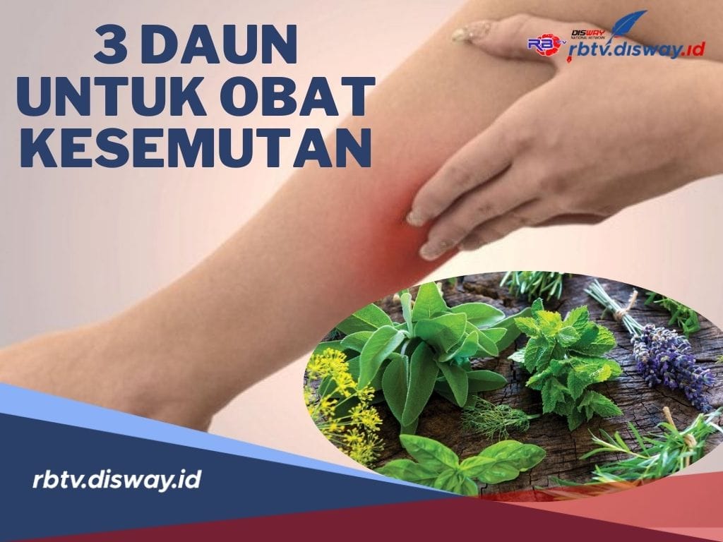 Jangan Diabaikan! Ini 3 Daun untuk Obat Kesemutan, Yuk Tanam di Rumah