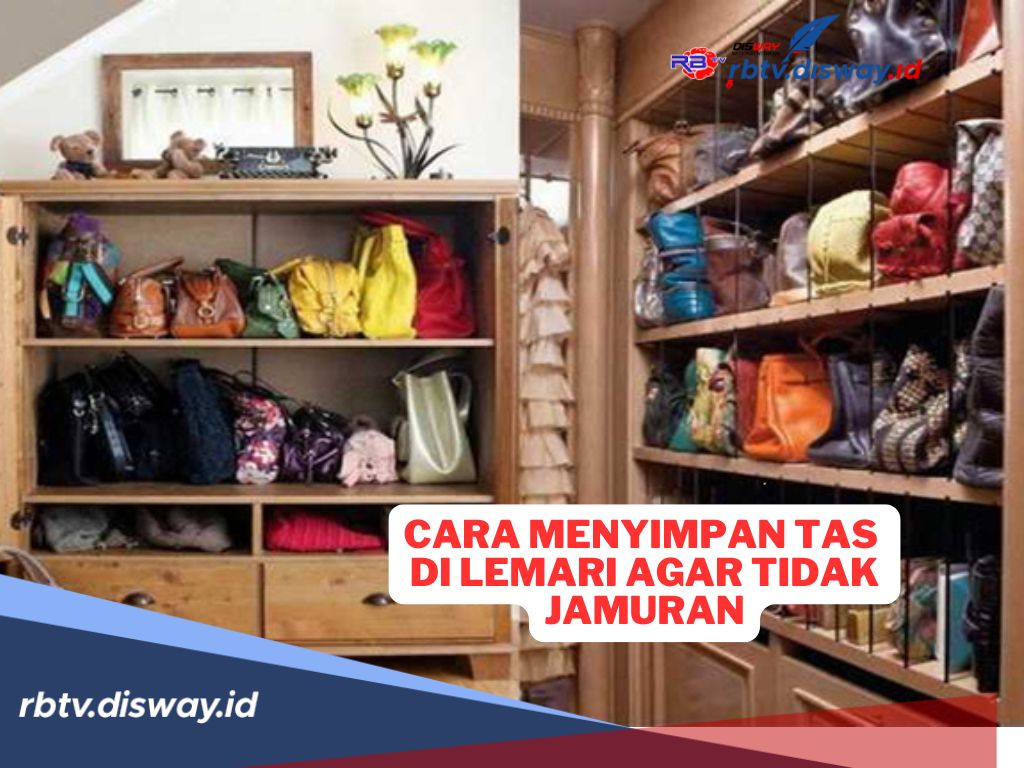 8 Cara Menyimpan Tas di Lemari Biar Tidak Jamuran, Perhatikan Ciri Lemari yang Mudah Berjamur