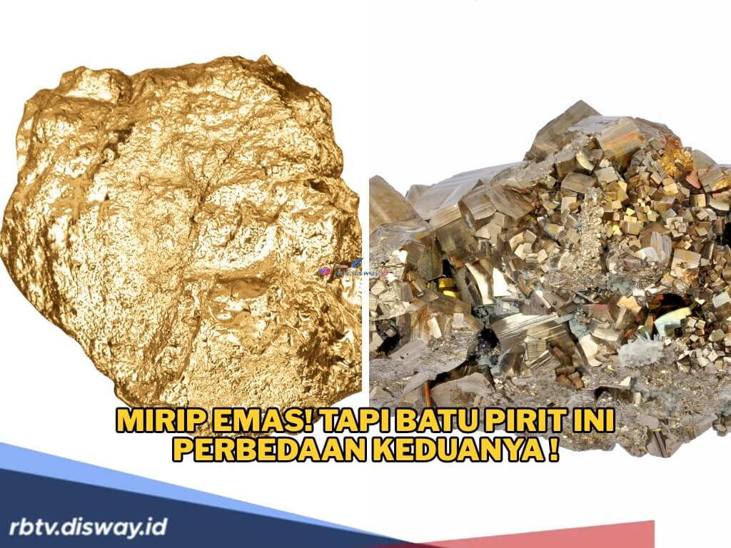 Mirip Emas! Tapi Batu Pirit Ini Perbedaan Keduanya yang Bikin Sungai Efrat Viral, Ternyata Segini Harganya