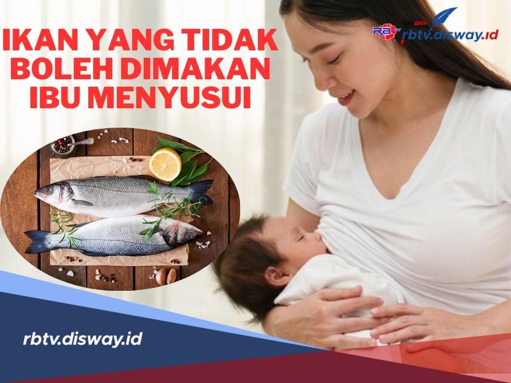 Ini 4 Ikan yang Tidak Boleh Dimakan Ibu Menyusui, Bisa Mempengaruhi Sistem Saraf Pusat Bayi Secara Permanen