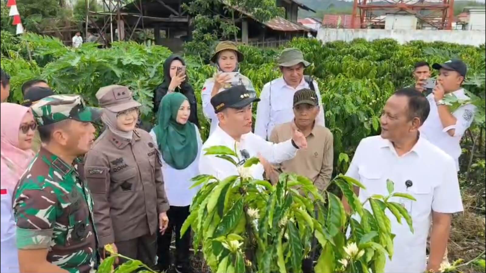 Dinilai Asesor dari PT Kapal Api dan Juri Nasional, Pemenang Lomba Kebun Kopi di Kepahiang Jadi Percontohan