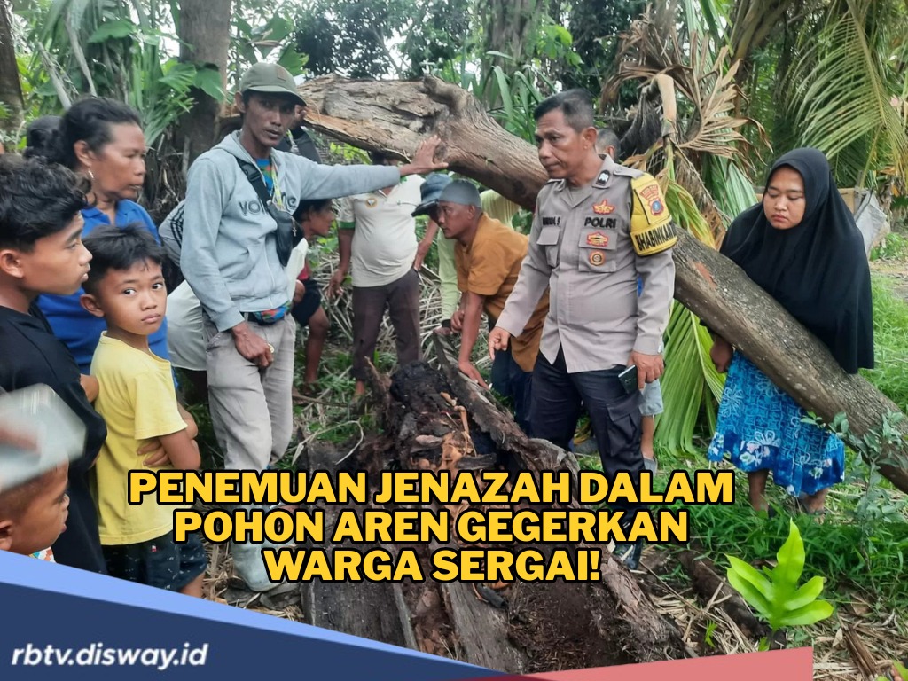 Penemuan Jenazah dalam Pohon Aren Gegerkan Warga Sergai! Temukan Baju, Hp dan Gelang Perak