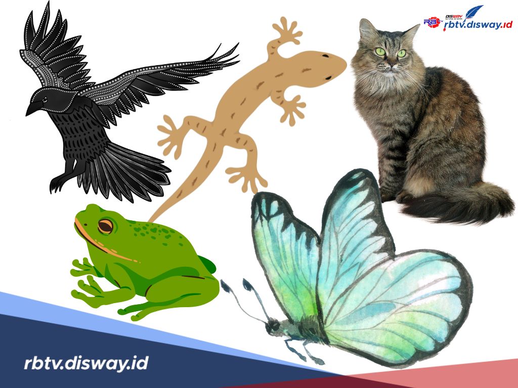 5 Hewan Pembawa Kabar Buruk! No 4 Sering Dijadikan Peliharaan