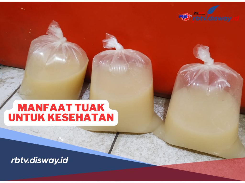 Sudah Tahu Belum, Ini 9 Manfaat Tuak untuk Kesehatan, No 8 Penting Diketahui Ibu-ibu 