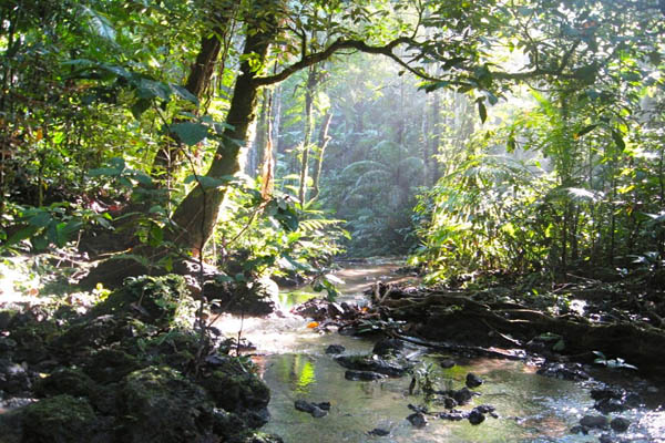 Lokasi Harta Karun Emas di Kabupaten Seluma Provinsi Bengkulu, Cadangannya Terbesar di Indonesia