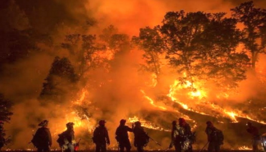 Sering Kebakaran Hutan, Indonesia Termasuk Negara Paru-paru Dunia Penjaga Iklim Bumi