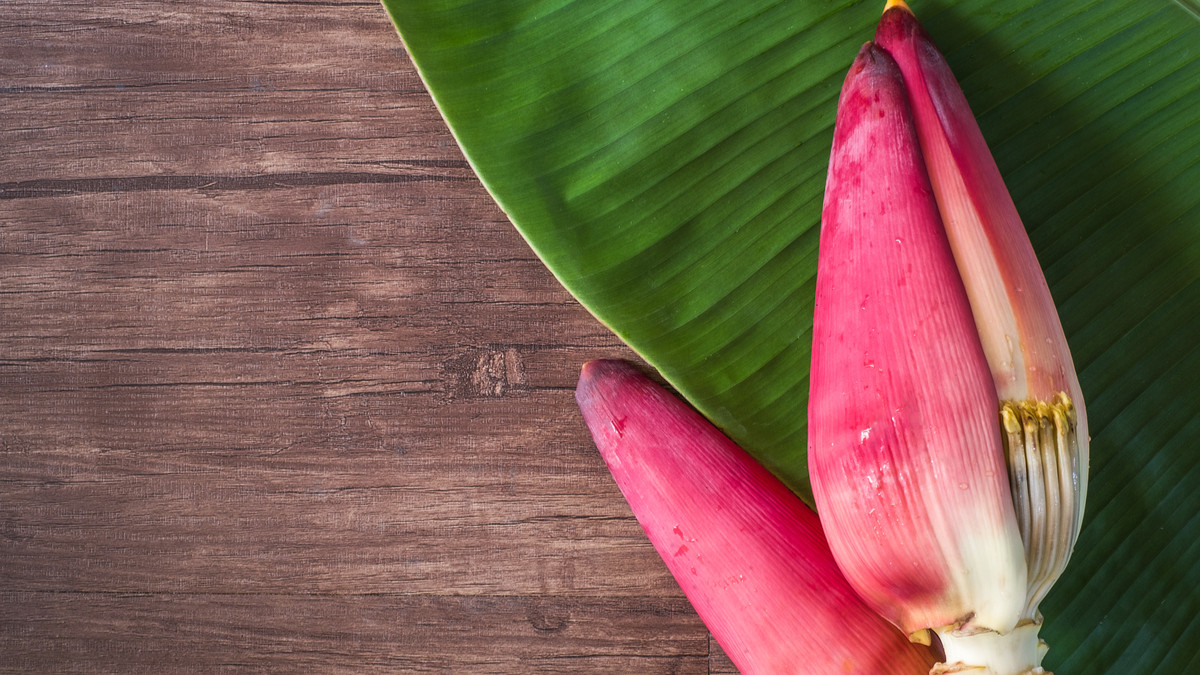 Setiap Wanita Dianjurkan Makan Jantung Pisang, Manfaatnya Tidak hanya Mengurangi Komplikasi Diabetes