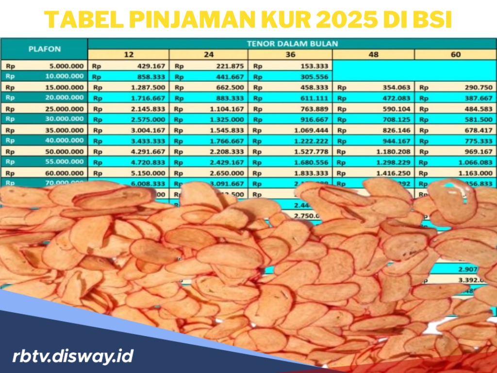 Tabel Pinjaman KUR 2025 di BSI, Pinjam Rp 20 Juta, Angsuran Bulanannya Sangat Kecil