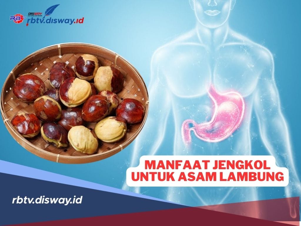 Manfaat Jengkol untuk Asam Lambung, Begini Cara Mengolahnya