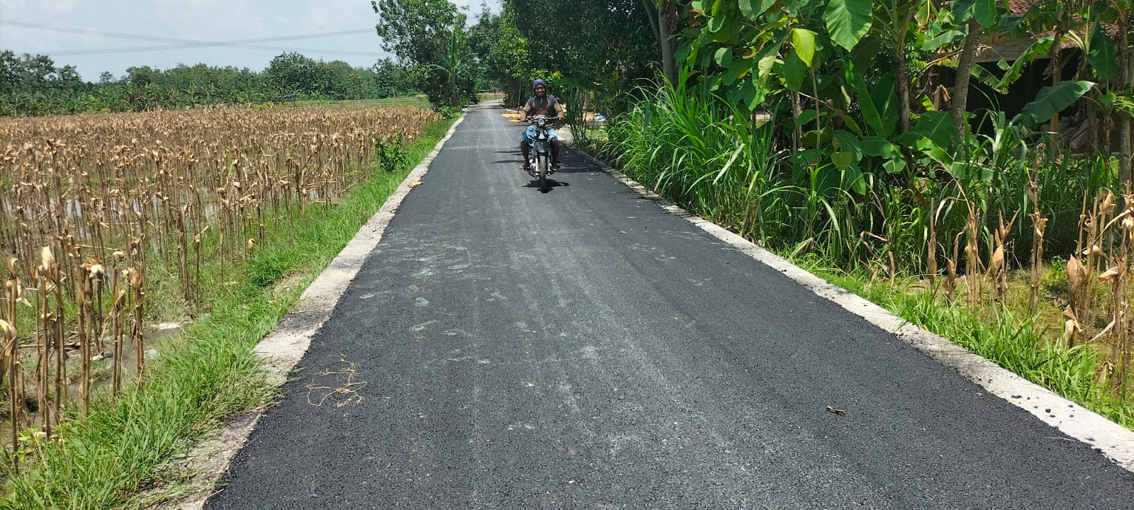 Tabel Dana Desa di Kabupaten Klaten Tahun 2024, Sekarang Sulit Cari Jalan Rusak di Desa