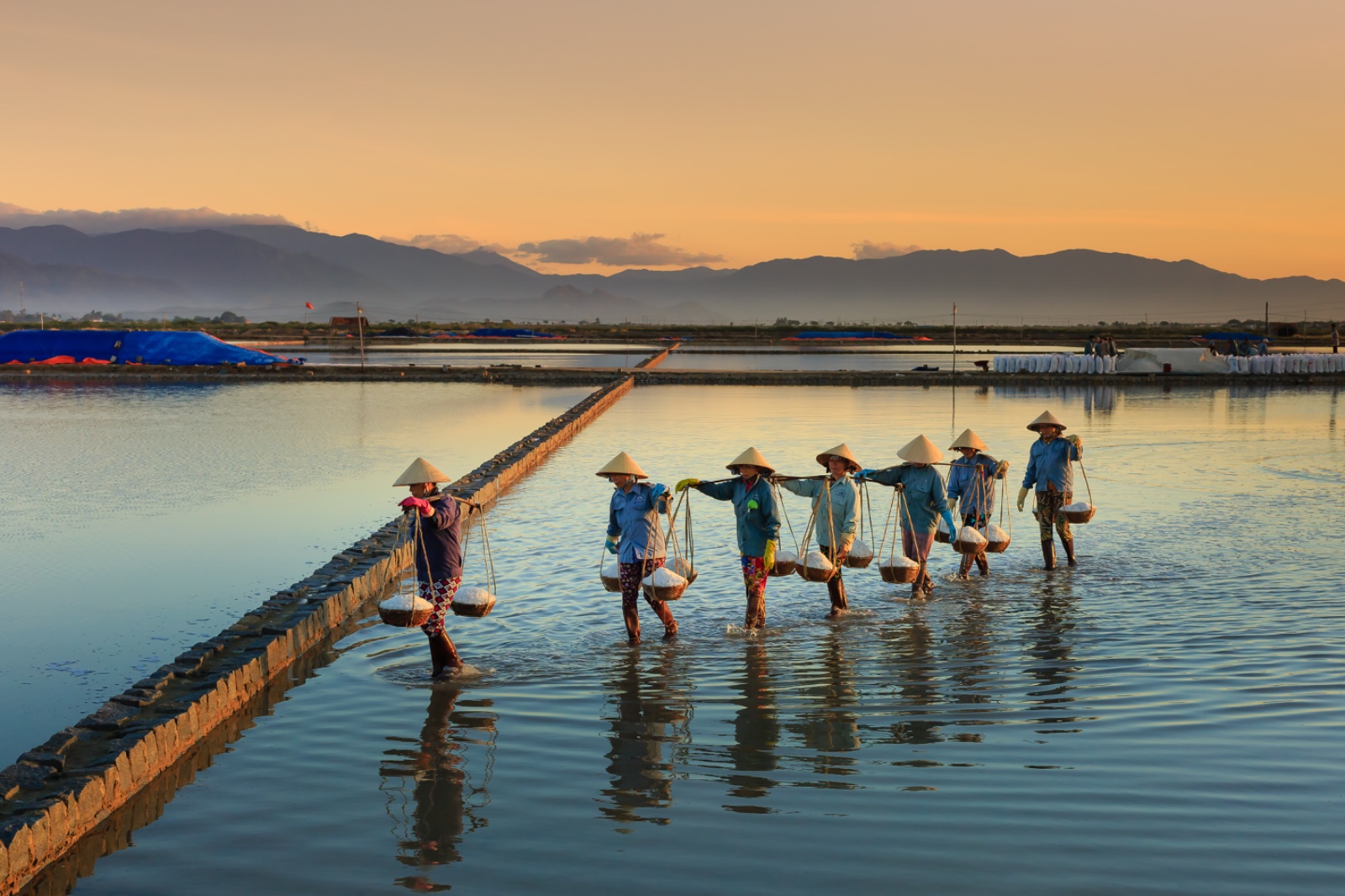Dorong Sektor Produksi Bergeliat, BRI Salurkan KUR Rp 69,8 Triliun ke 8,3 Juta Debitur UMKM