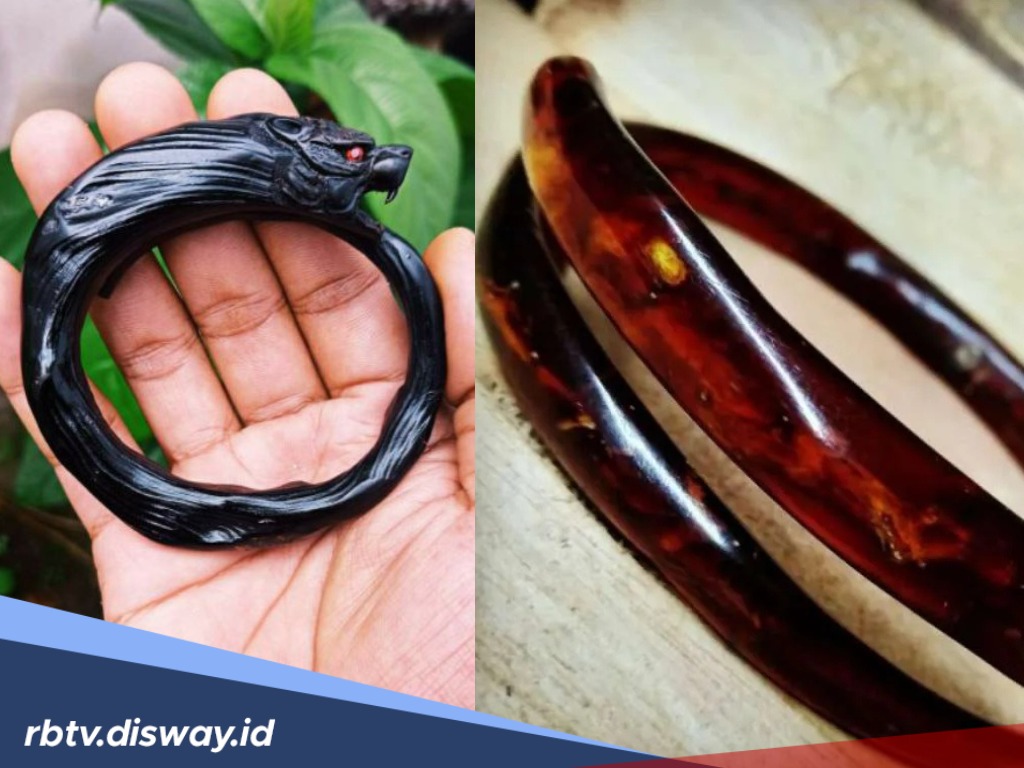 Baru Tahu, Ini 5 Jenis Akar Bahar dan Manfaatnya yang Tak Disangka-sangka