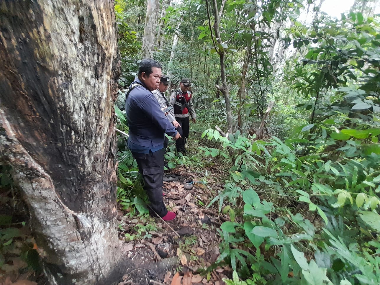 Petani di Bengkulu Utara Diserang Beruang, BKSDA Turun ke TKP, Ini Hasilnya