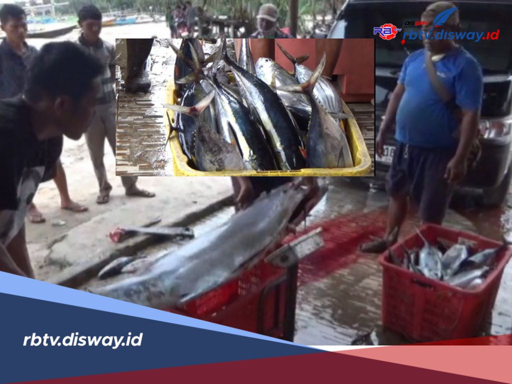 Nelayan Kurang Melaut Karena Cuaca Buruk Harga Ikan di Kaur Melonjak 