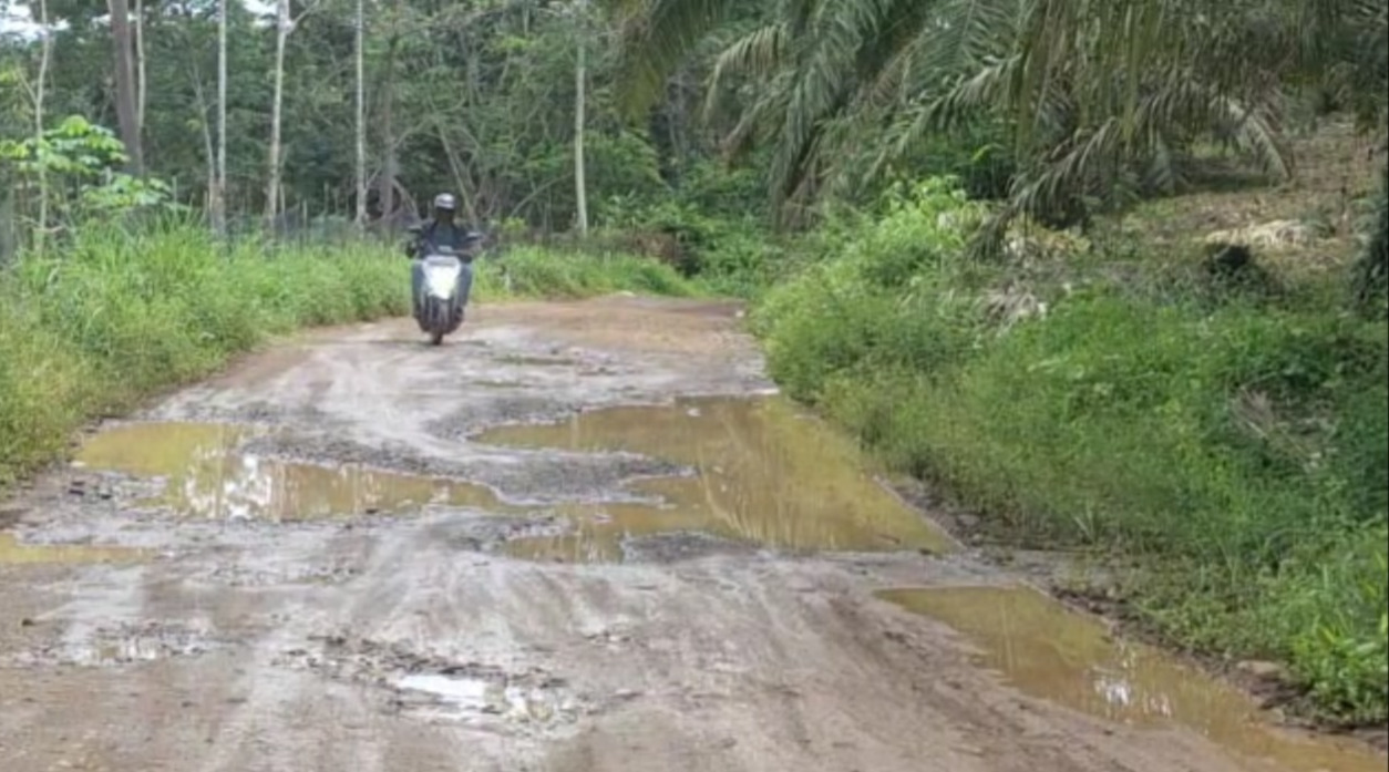 Warga Jangan Khawatir, 4 Proyek Jalan Provinsi di Bengkulu Tengah Masuk Tahap Lelang