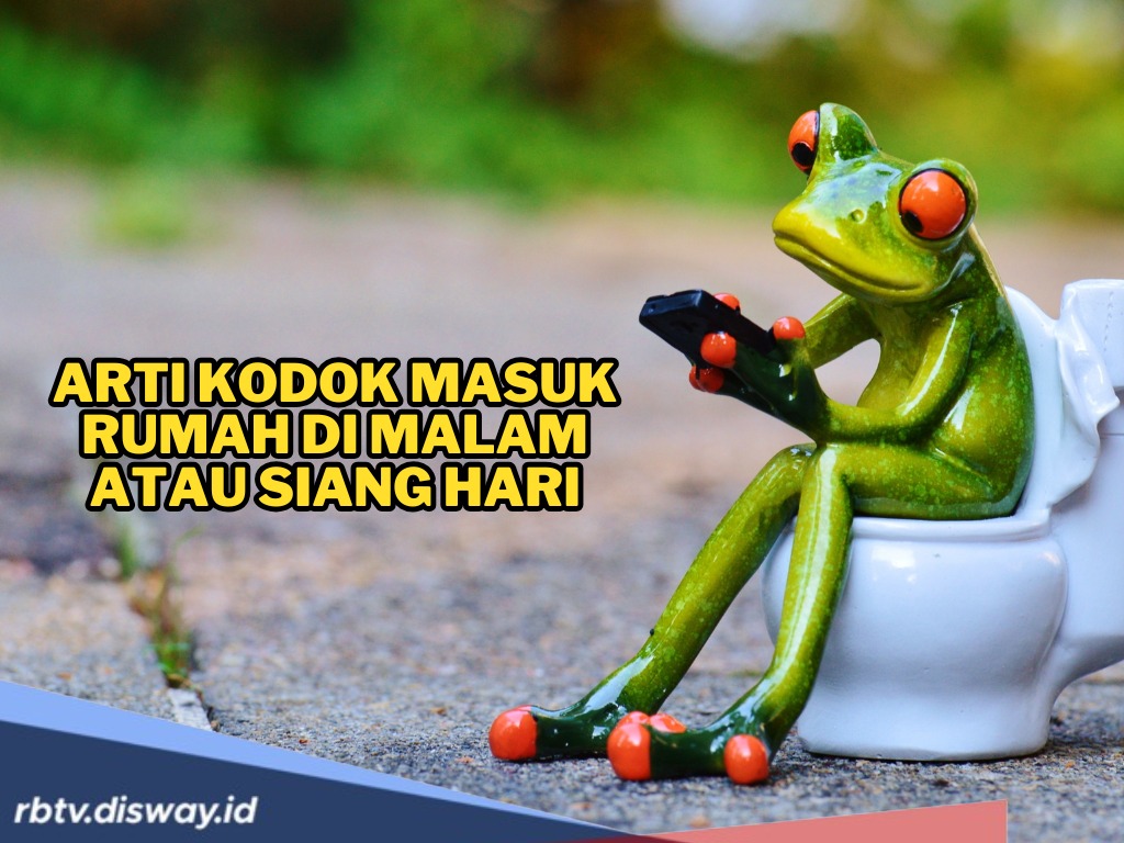 Jangan Diusir, Ini Arti Kodok Masuk Rumah di Malam atau Siang Hari