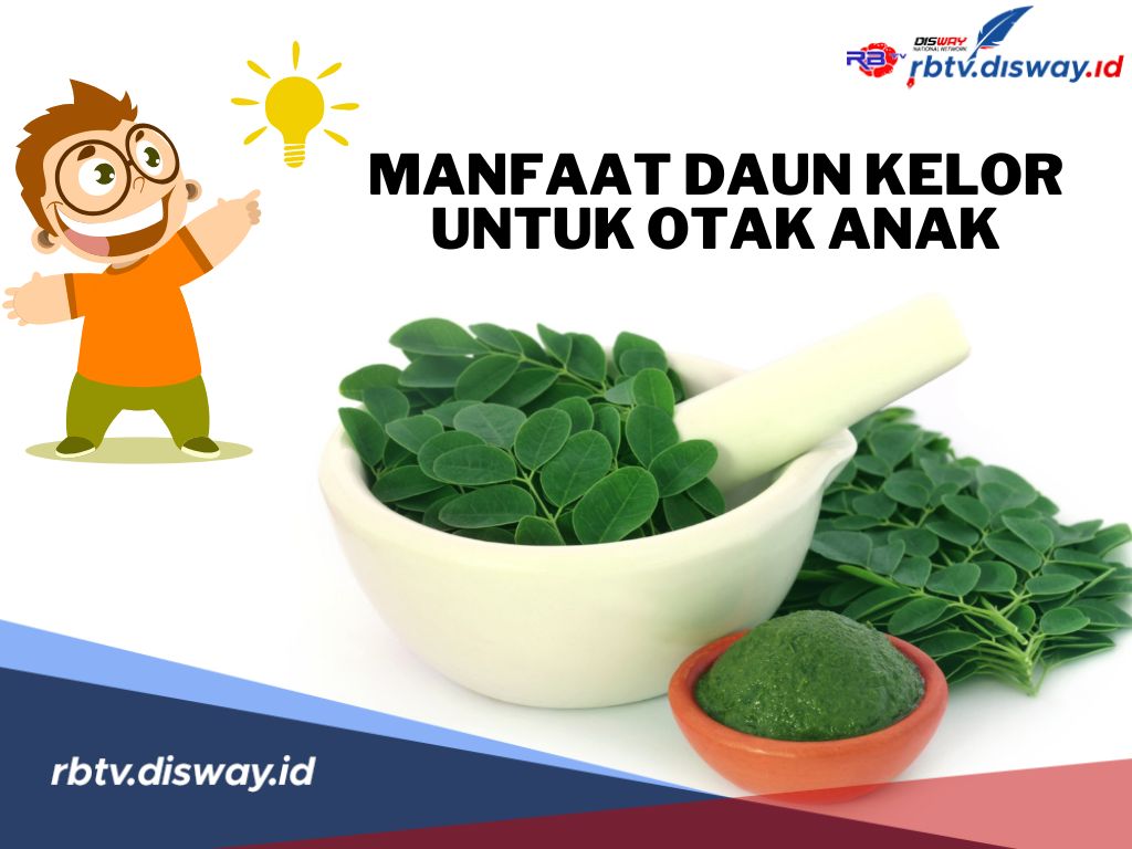 Ini Manfaat Daun Kelor untuk Otak Anak, Begini Cara Mengolahnya agar Dapat Khasiatnya