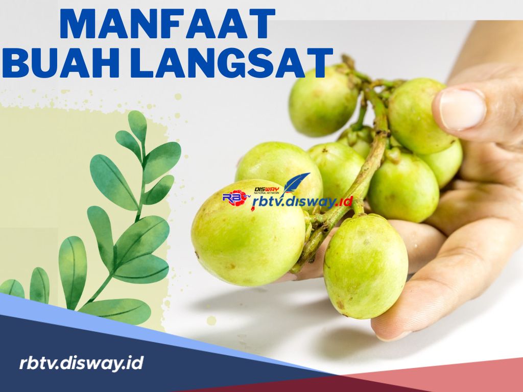 Buah Sederhana Berkulit Tipis, Rupanya Ada 10 Manfaat Buah Langsat untuk Kesehatan