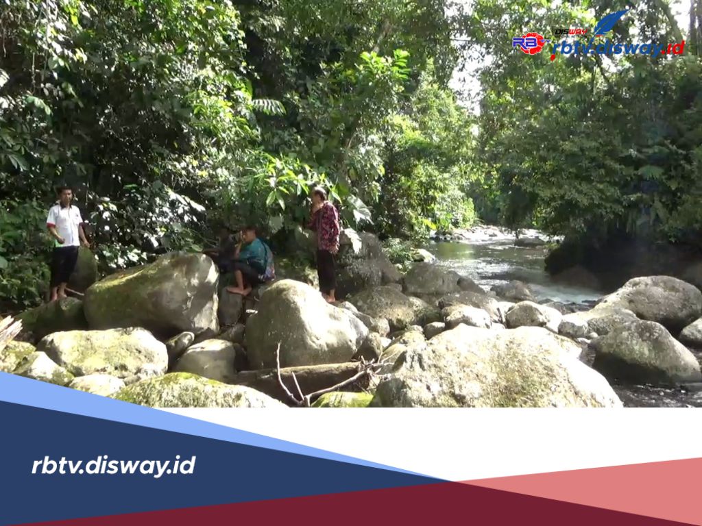 Luas 2.000 Hektare, Pengelolaan 2 Lokasi Perhutanan Sosial di Bengkulu Utara Dikolaborasikan dengan KKI Warsi 