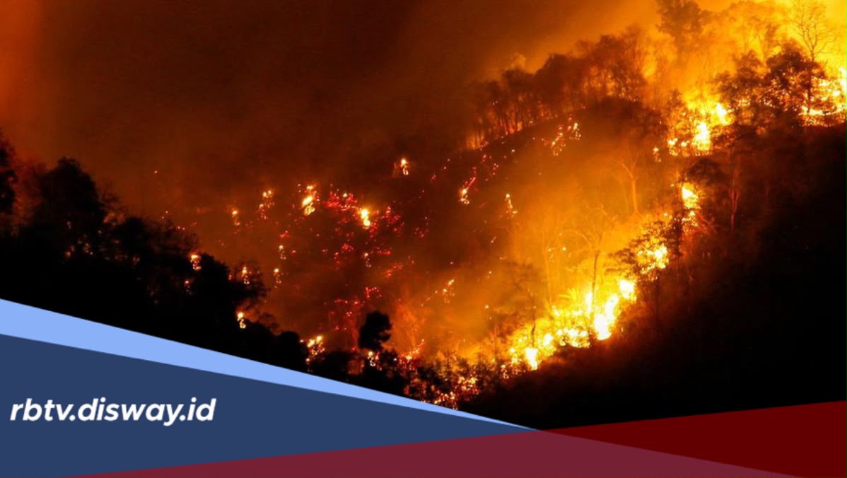 202.004,30 Hektare Lahan Terbakar: Update Karhutla Indonesia Tahun 2026