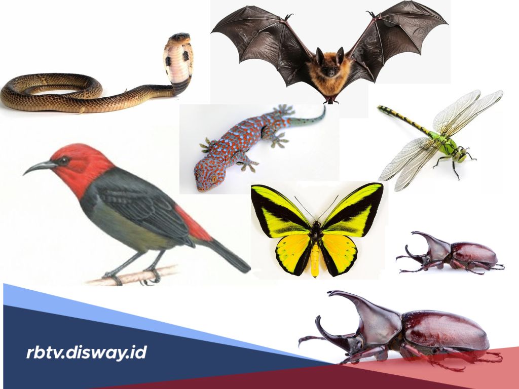 8 Mitos Hewan Masuk Rumah Menurut Menurut Primbon dan Feng Shui