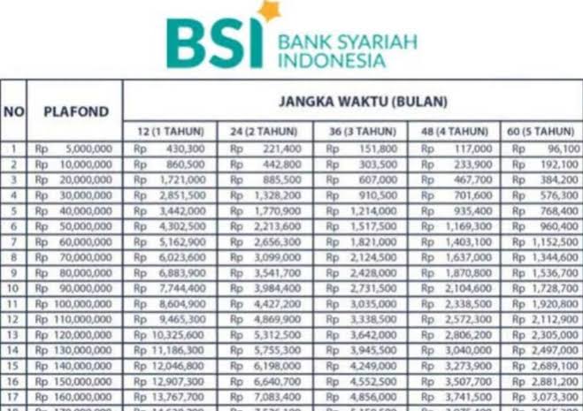 KUR BSI Pinjaman Rp 25 Juta dan Rp 40 Juta Bisa Diajukan Tanpa Agunan, Tanpa Bunga Cicilan Ringan