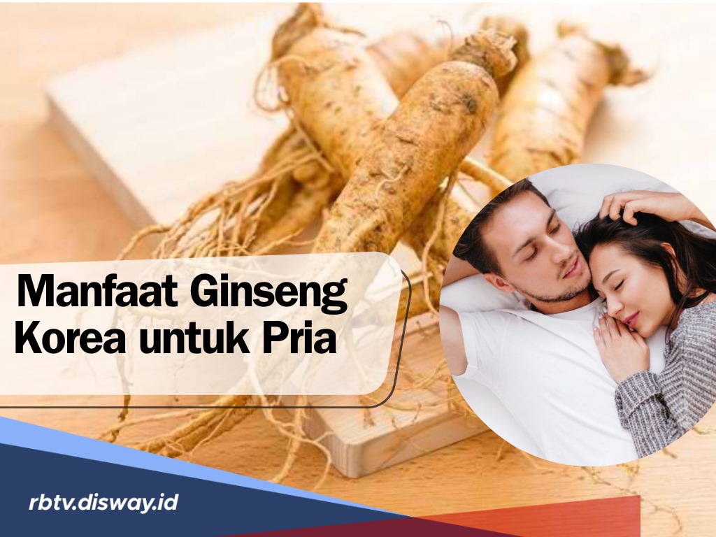 7 Manfaat Ginseng Korea untuk Pria yang Dikenal Ampuh Tuntaskan Segala Permasalahan Kaum Adam