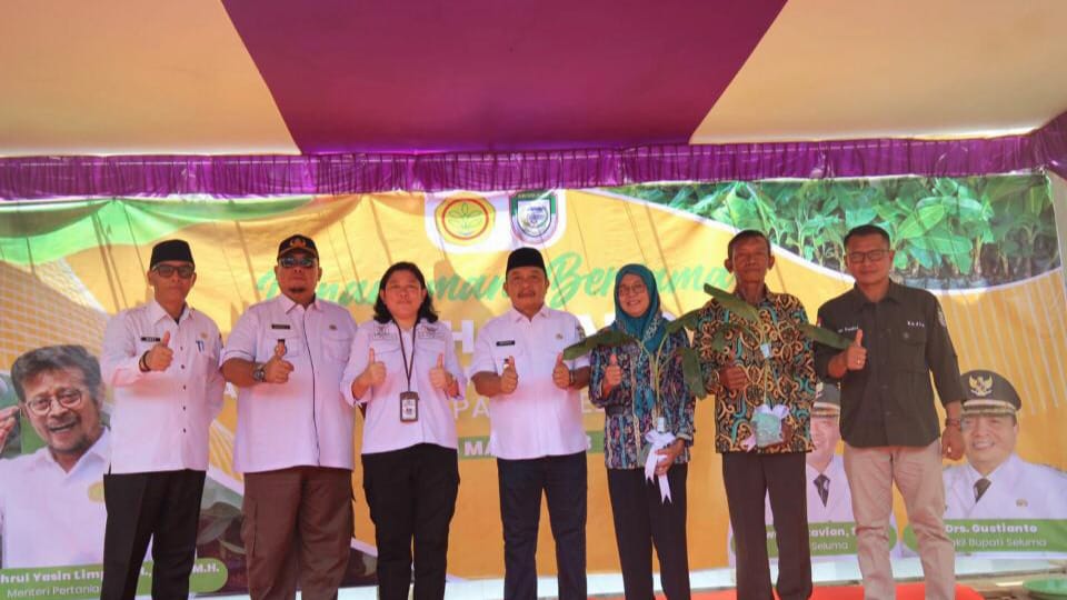 Kementan RI Salurkan 50 Ribu Bibit Pisang Barangan dan Cavendish Singer