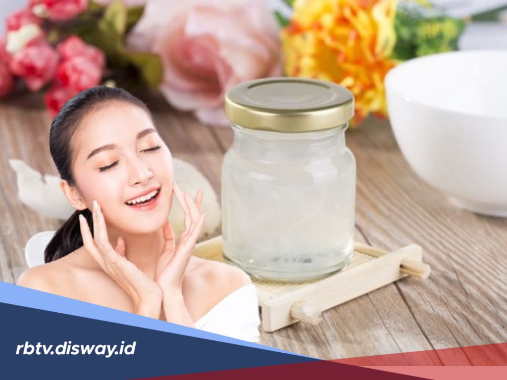 Manfaat Sarang Burung Walet, Ternyata Baik untuk Kecantikan dan Kesehatan