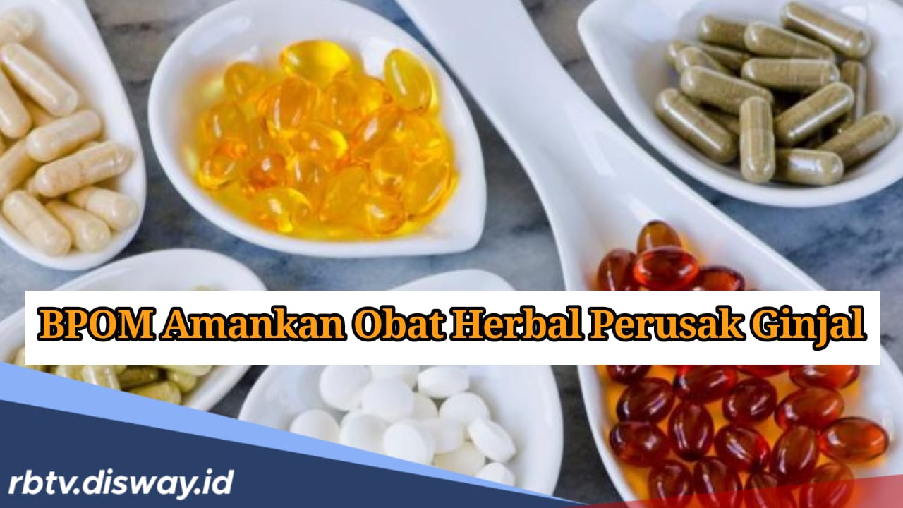 BPOM Sita 10 Obat Herbal Berbahaya Senilai Rp 8,1 Miliar, Bisa Rusak Ginjal dan Jantung