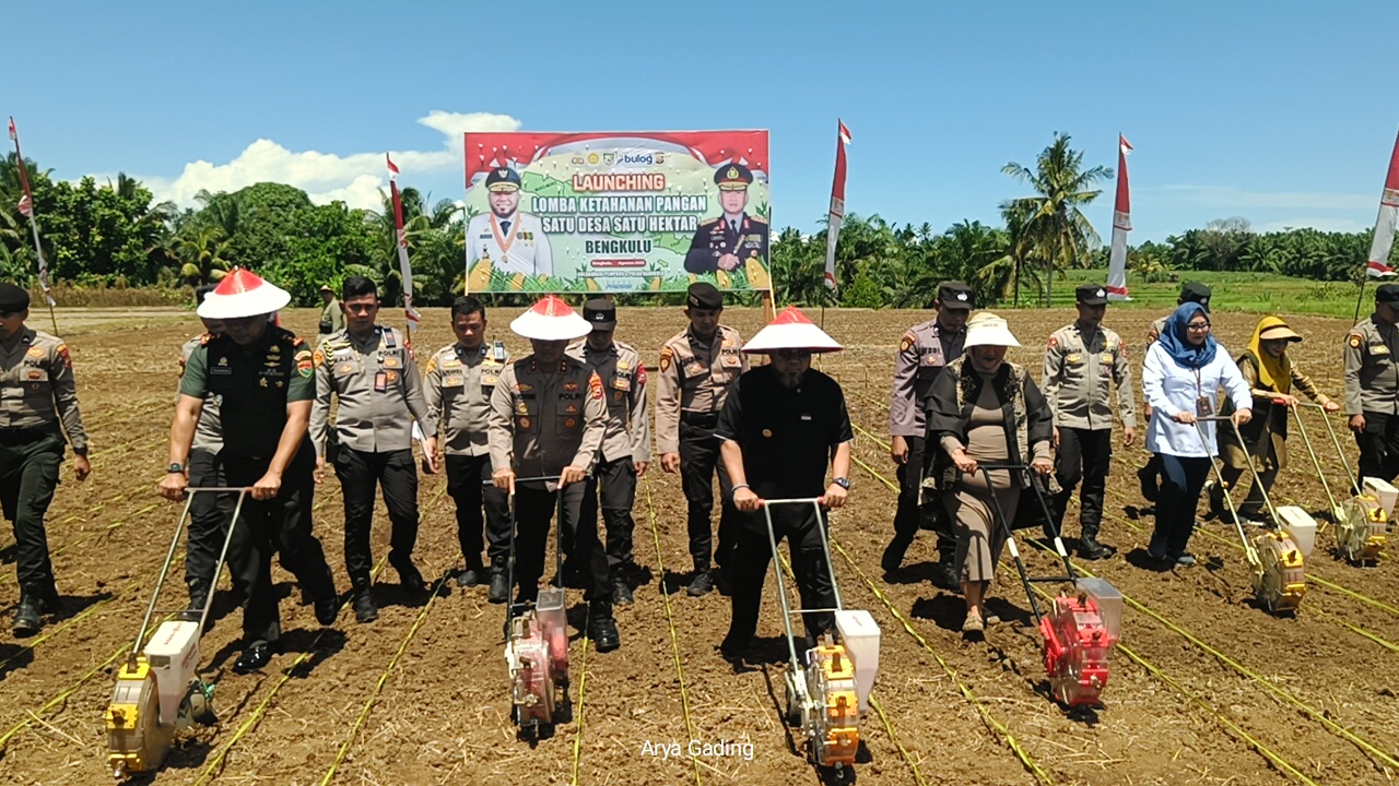 Perdana di Indonesia, 'Lomba Ketahanan Pangan Sade Sahe'. Gubernur Bengkulu Siapkan Hadiah Rp 2,2 M