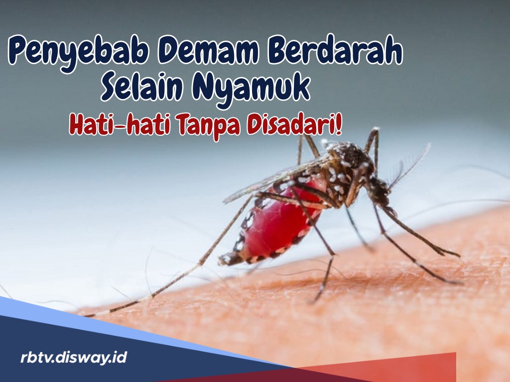 Ternyata Ini Penyebab Demam Berdarah Selain Nyamuk, Hati-hati Banyak yang Tidak Sadar