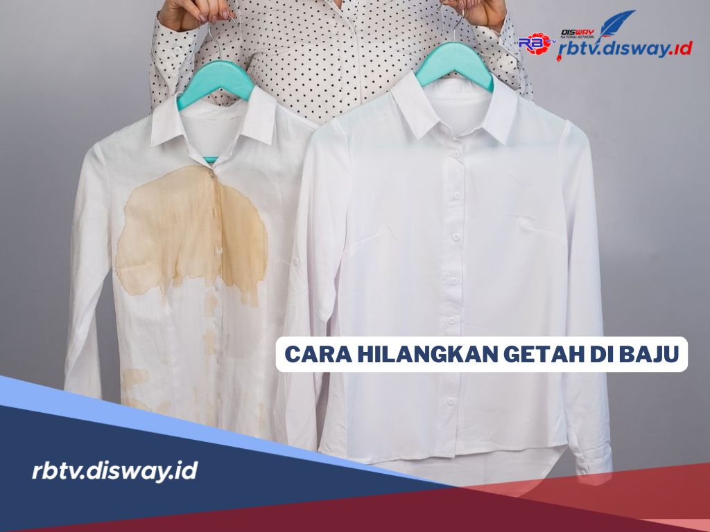 Ada Getah Menempel di Baju, Coba Dulu Cara Ini untuk Menghilangkannya