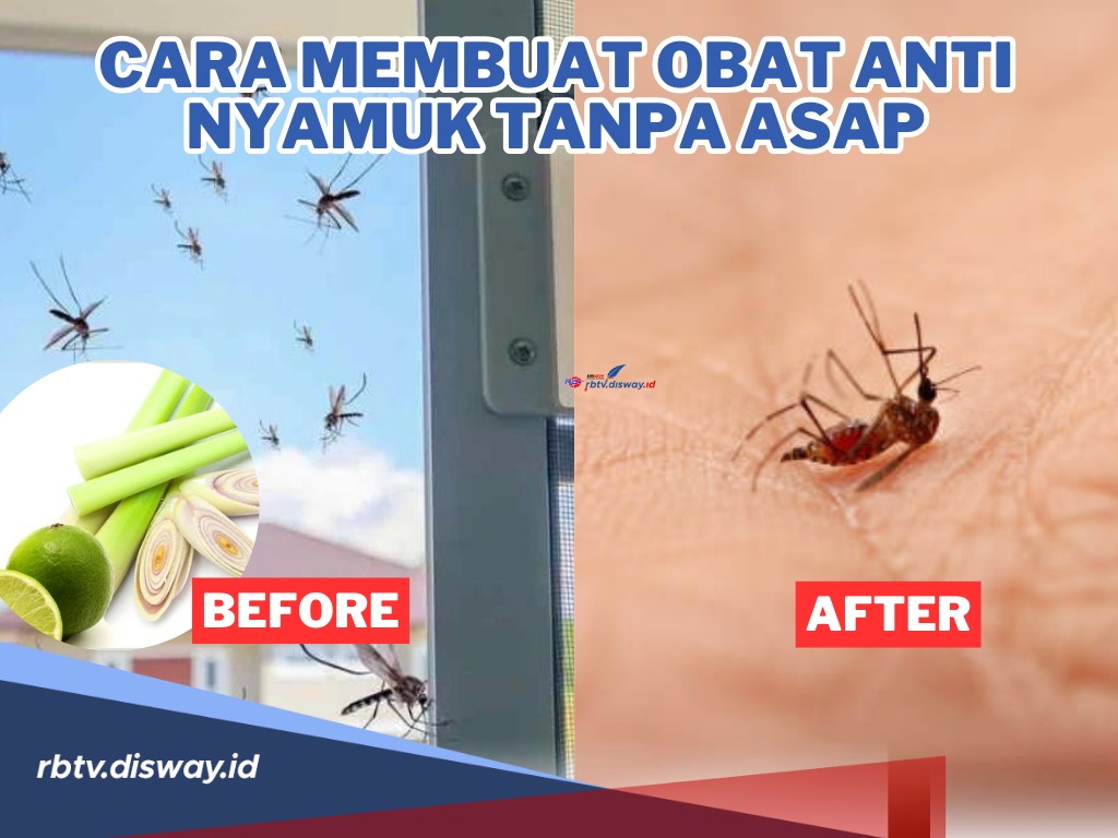 Bikin Nyamuk Minggat Gapake Balik! Begini Cara Membuat Obat Anti Nyamuk Tanpa Asap, Pasti Aman