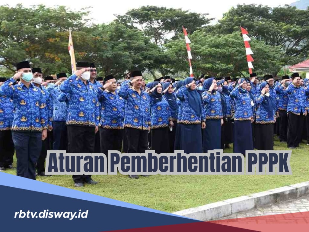 Tidak Sembarangan, Ini Ketentuan Pemberhentian PPPK Paruh Waktu dan Penuh Waktu