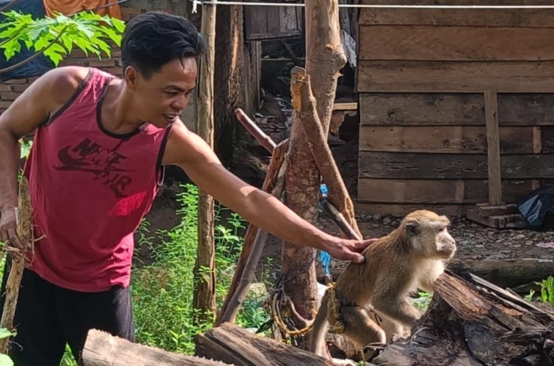Kasus Gigitan Hewan Tinggi, Dinas Pertanian Seluma Usul Anggaran Pengadaan Vaksin Anti Rabies Rp200 Juta