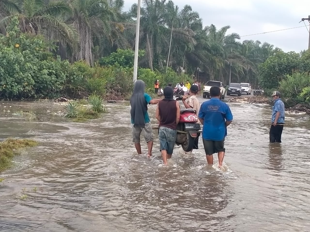 Air Laut Pasang, Jalan Lintas Ketahun-Batik Nau Digenangi Air, Kendaraan Sulit Melintas