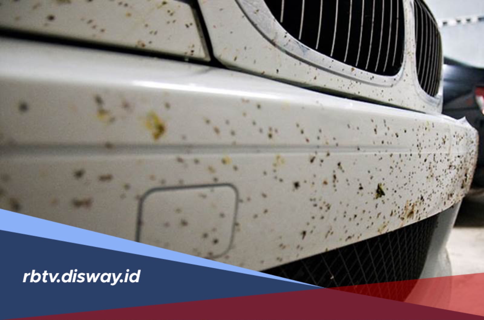 Cara Mudah Membersihkan Noda Aspal yang Menempel di Bodi Mobil