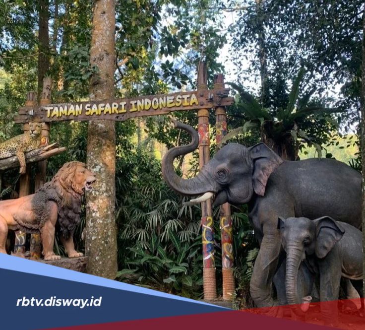 Libur Akhir Pekan? Ini Surga Wisata Alam Ramah Anak di Bogor dan Bandung