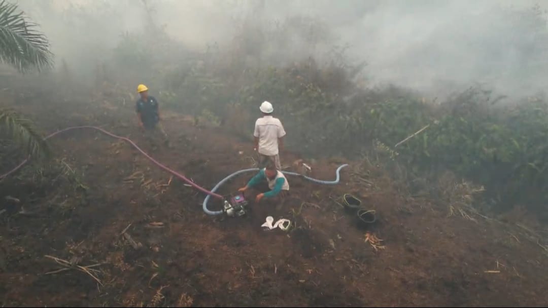 2 Hektare Lahan PT. SIL Terbakar, Diduga Akibat Lalai, Polres Seluma Bertindak 