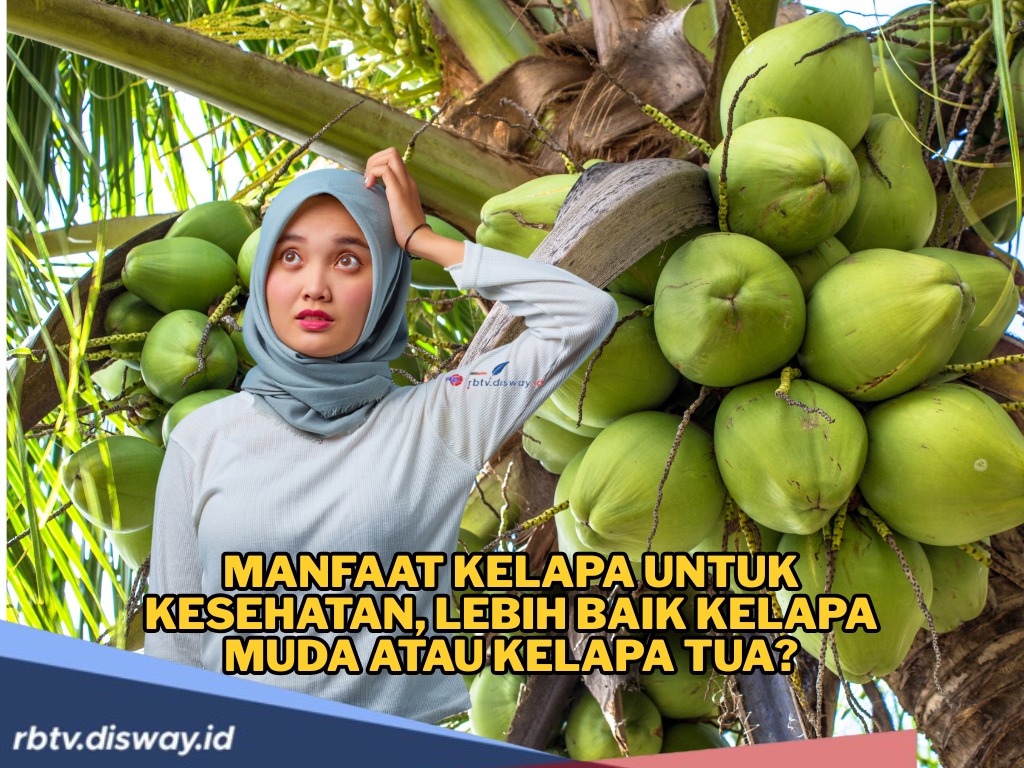 Kalau untuk Kesehatan Lebih Bagus Kelapa Tua atau Muda?