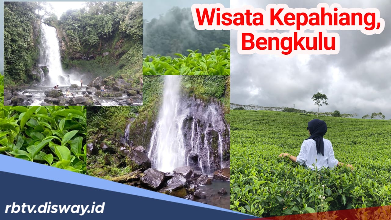 7 Tempat Wisata Terbaik di Kepahiang, Surganya Pencinta Alam