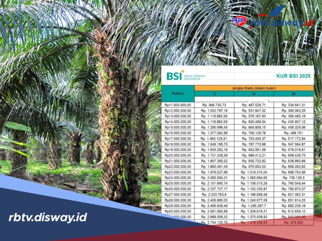 Pinjaman KUR BSI 2025 Rp 95 Juta untuk Petani Sawit Tanpa Ribet, Cicilannya hanya Segini