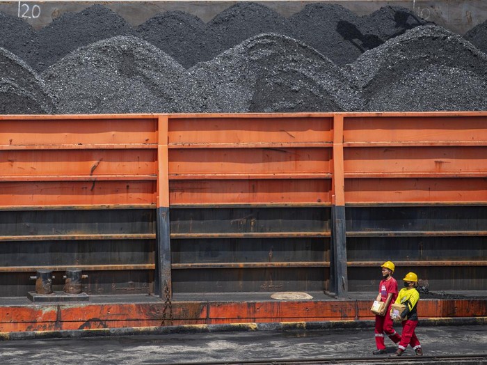 Melihat Harta Karun Melimpah di Kalimantan Tengah, Ini Lokasinya