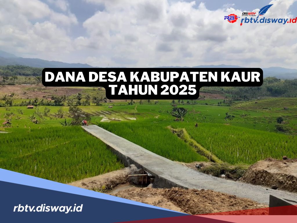 DANA DESA 2025, Tahun Ini Kabupaten Kaur Terima Rp 138 Miliar, Berikut Rincian per Desa