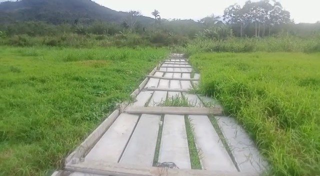 Tembok Stadion Mini Kepahiang Roboh, Komisi IV DPRD Provinsi Minta Anggaran Pembangunan Diaudit