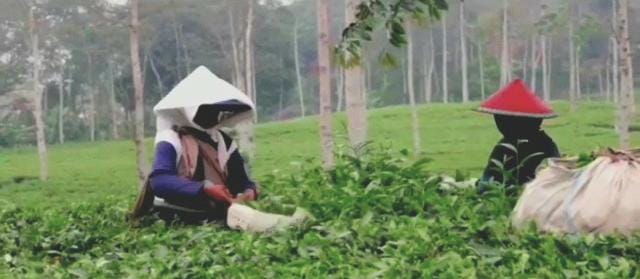 UMP Bengkulu 2026 Belum Diputuskan, tapi Ada 5 Kabupaten Belum Miliki Standar Upah Minimum